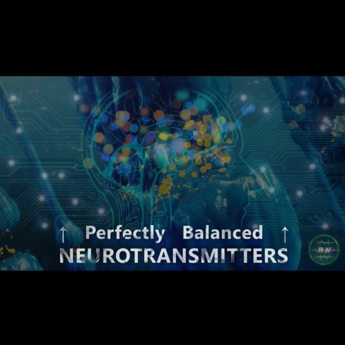 Perfectly Balanced NEUROTRANSMITTERS - Synthesis, Uptake, Storage, Receptor Sensitivity & Density