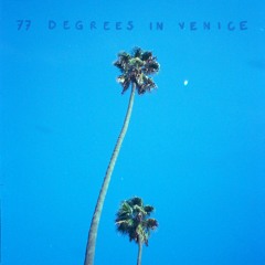 77 Degrees In Venice