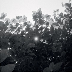 SONATA LAMENTEVOLE Johann Heinrich Schmelzer