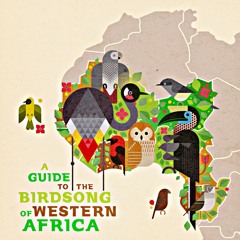 Les Mamans du Congo & Rrobin - Loango weaver