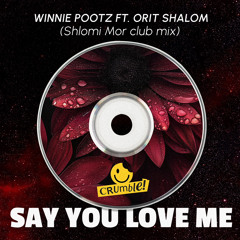 Say you Love me (Shlomi Mor Club Remix)