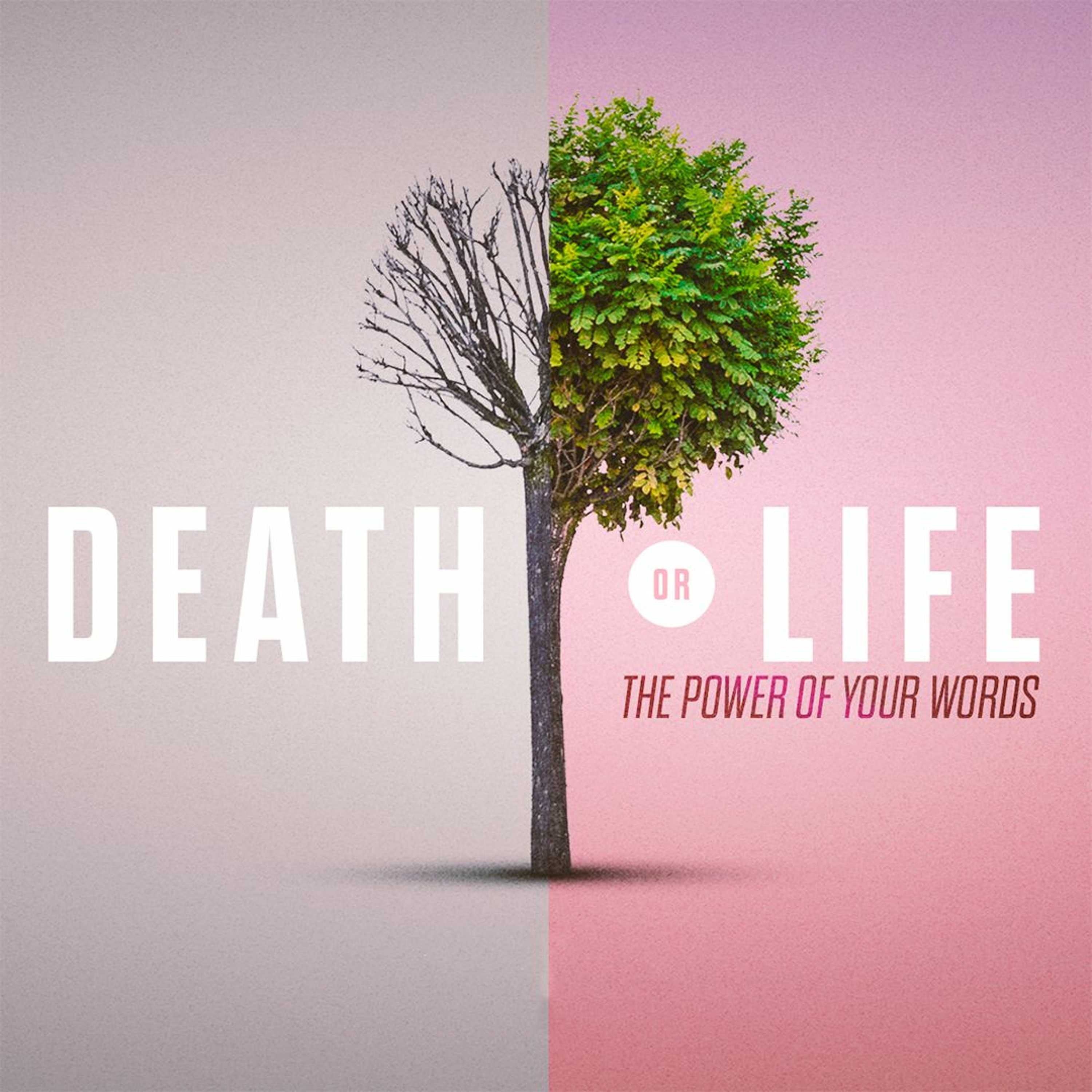 12/4/22 Death or Life: The Power of Your Words episode artwork