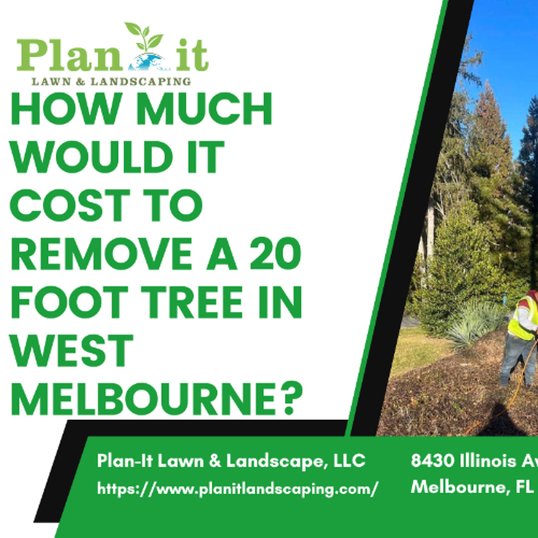 Stream How much would it cost to remove a 20 foot tree in West ...