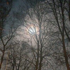 VVITCHTERROR NEW YEAR SET BY PEPSY666