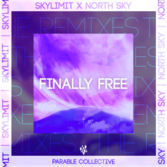 North Sky & Skylimit - Finally Free (N33T Remix)