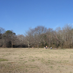 evoca