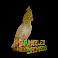 Imbibe Closing Set at Spangled Drongos, Canberra, March 2025