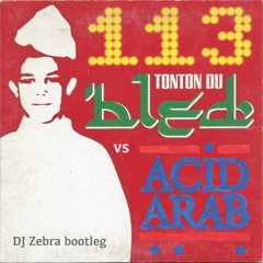 DJ ZEBRA -- LE-LEILA (113 x Acid Arab)