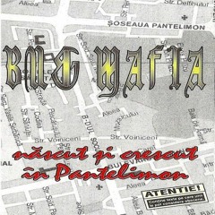 B.U.G. Mafia - Nascut Si Crescut In Pantelimon