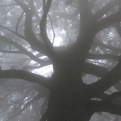 All I Ever Knew Ft. Mina