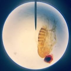 I'm so good at being in trouble, but I'm so bad at being in love