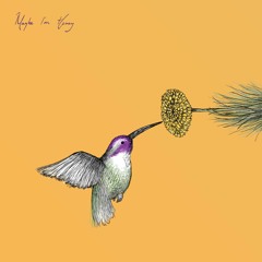 3 Knots (India Blue & Joshu)