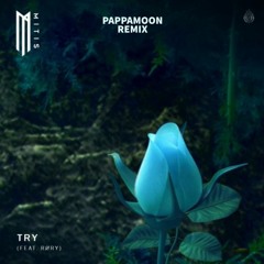 MitiS - Try feat. RØRY (PAPPAMOON REMIX)
