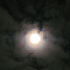 Moonlight Ride