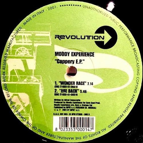 Moody Experience - Wonder Race (2001)