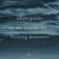 Stormy Memories (NaviarHaiku 545)