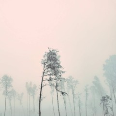 Resonant Mists