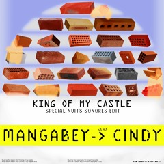 Mangabey - King Of My Castle (feat. Cindy Pooch)