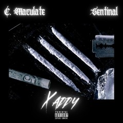 Xaddy X Sentinal ( prod.$OUND$L!Tbeatz