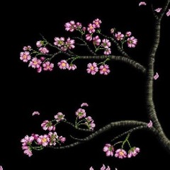 Vuelva - Renzo Pikette