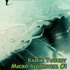 Micro Algorithm