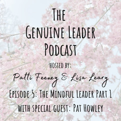 Episode 5: Part 1 of The Mindful Leader with special guest; Pat Howley