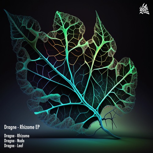 RCV002 Dragne - Leaf Preview