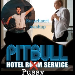 Hotel Pussy Survice Busschaert Mashup