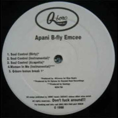 Apani B-Fly Emcee - Soul Control - Beekool Remix