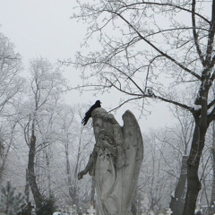 Mirokuu x Proverbs - Gatekeeper