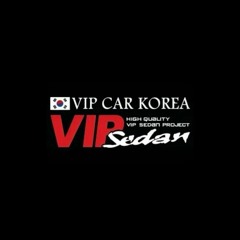 면허 따자마자 번화가 맵핑 돌다가 전손내버리는 믹셋