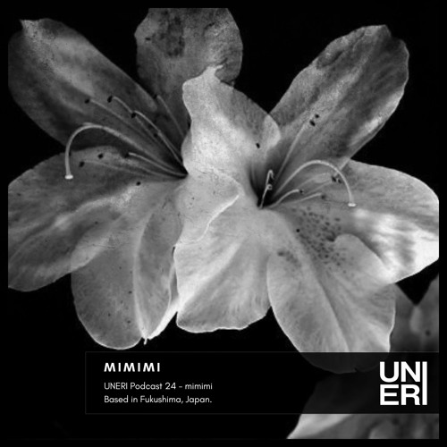 UNERI Podcast 24 - mimimi