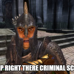 Stop right there criminal scum!