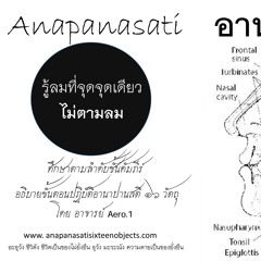 อานาปานสติ Anapanasati16 เจาะลึกพระไตรปิฎก หลักฐานชั้นปฐมภูมิ ความเชื่อมโยงตามลำดับชั้นคัมภีร์