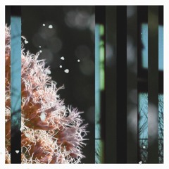 Bunraku - Shizuka (new EP, Neru ⏤ out now!)