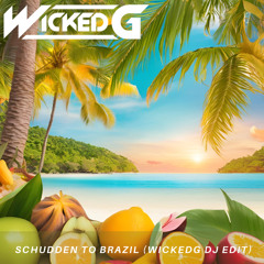 Def Rhymz x Vengaboys - Schudden to Brazil (WickedG DJ Edit)
