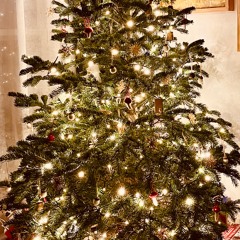 Don't Let Us Get Sick (The New Auld Lang Syne)