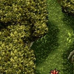 forest秘密