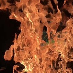 From the Ashes