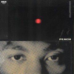 PEACH - BROCKHAMPTON (DAMAQE REMIX)