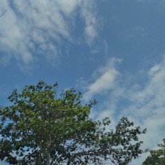 cessam