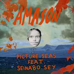 Picture Seas (feat. Seinabo Sey)