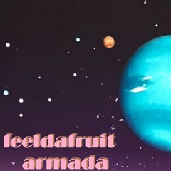 Feeldafruit - Armada (Original mix)