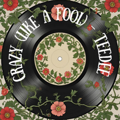 Crazy (Like a Fool) - TeeDee