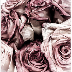 SWINE (PRELIM INSTRUMENTAL)