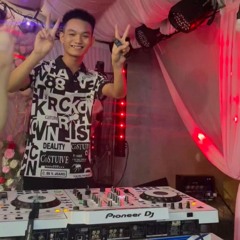 VIETMIX - SẦU CON TIM - T.RICE