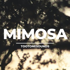 "MIMOSA" - Central Cee x Young Adz Melodic Guitar Drill Type Beat 2021 (Prod. Tootonesounds)