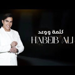 DJ BOBO SHOO & DJ.Mido حبيب علي - كلمة و وعد REmix 2024