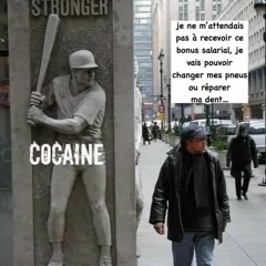 paquerette molaire