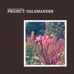 Commander Xander's PROJECT: SALAMANDER - -tro